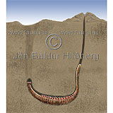 Lugworm - Arenicola marina - otherinverebrates - Annelida