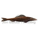 Deepsea lizardfish - Bathysaurus ferox - otherfish - Aulopiformes