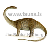 Brontosaurus risaela - Brontosaurus sp. - utdauddyr - Skridr